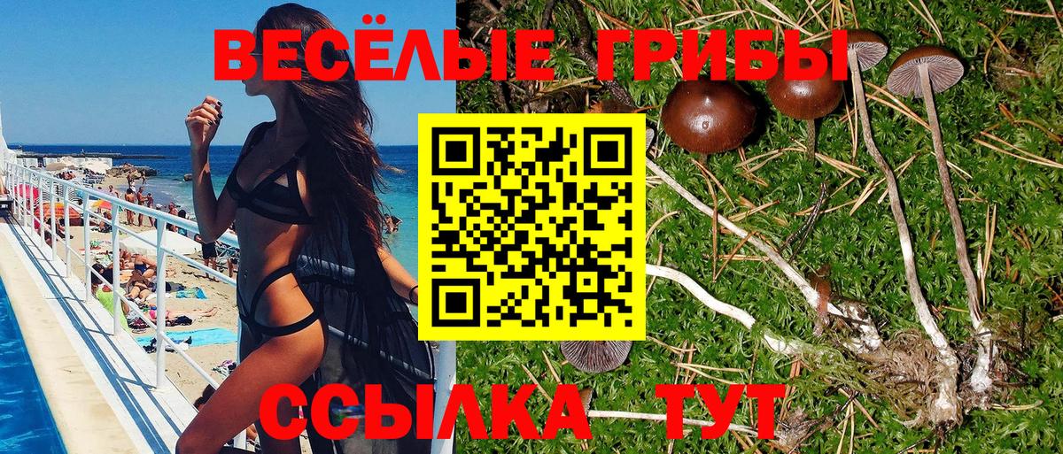 Псилоцибиновые грибы Psilocybine cubensis  Вход с VPN  Псилоцибиновые грибы Magic Shrooms  Сальск 